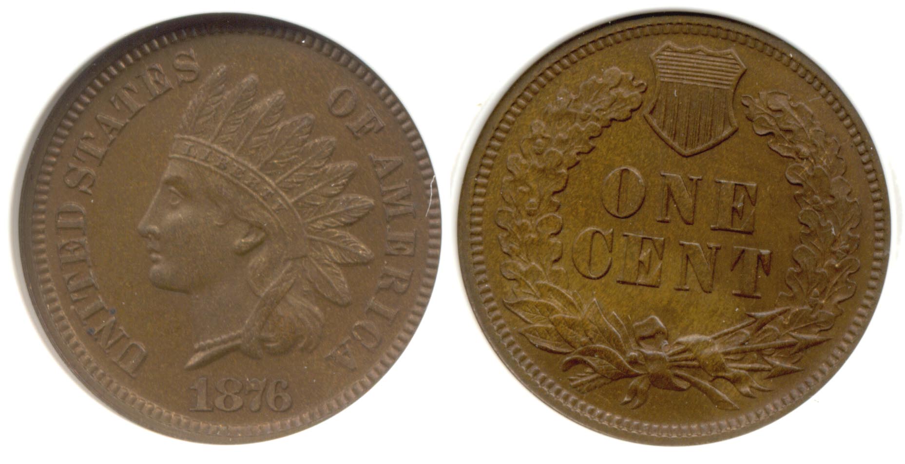 1876 Indian Head Cent PCI Proof-66 Brown