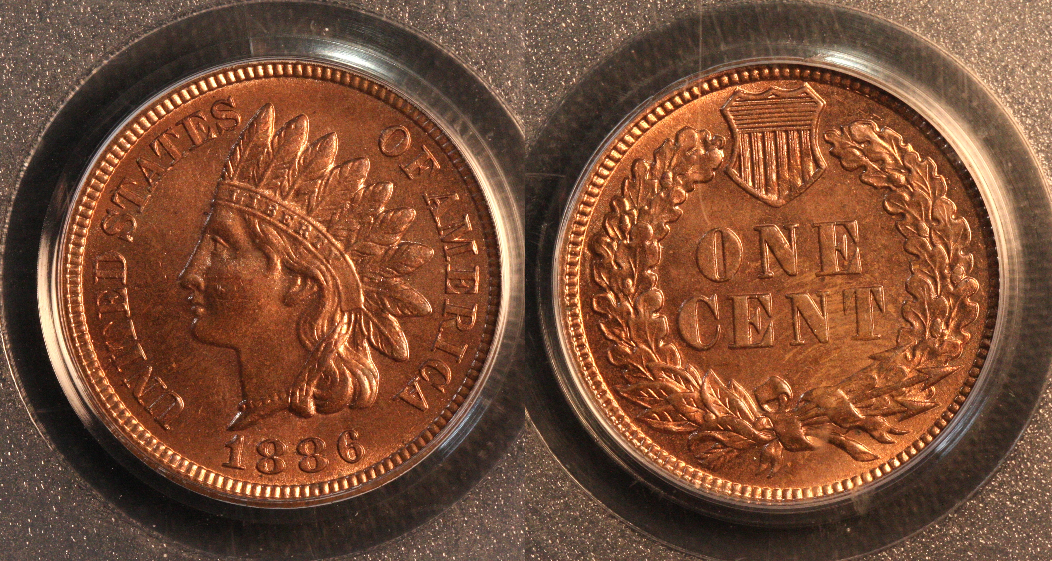 1886 Type 2 Indian Head Cent PCGS MS-64 Red Brown camera