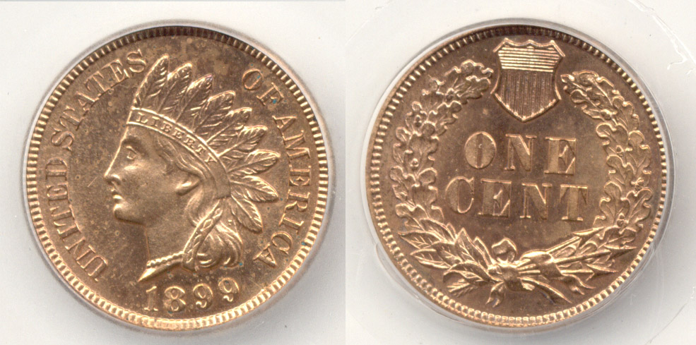 1899 Indian Head Cent SEGS Proof-62 Red