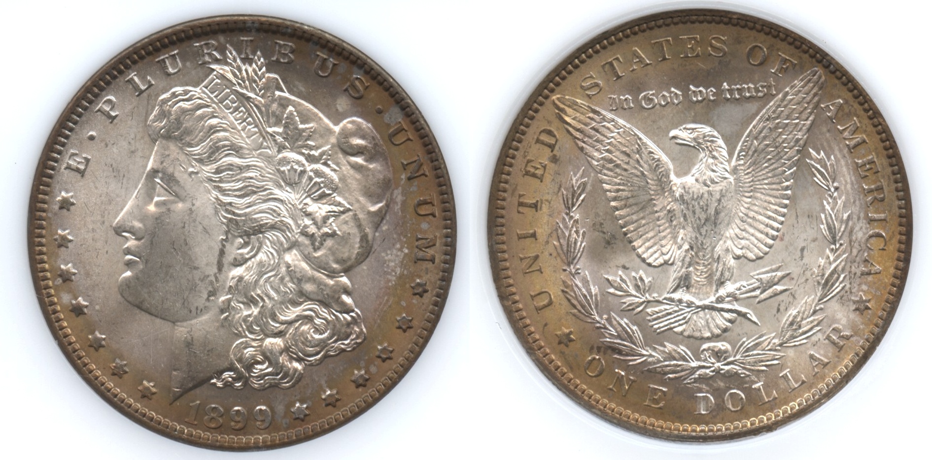 1899 Morgan Silver Dollar PCI MS-63