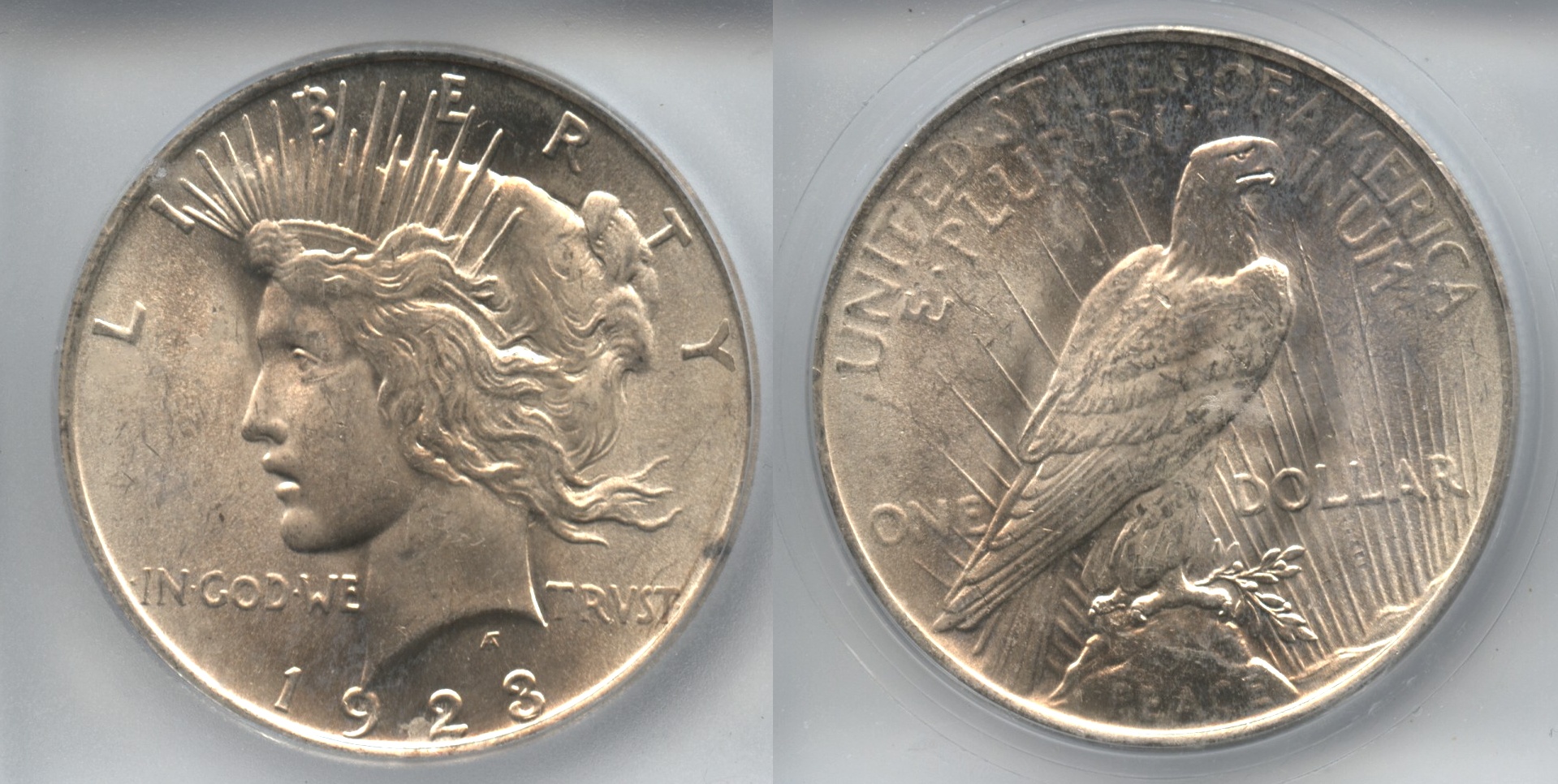 1923 Peace Silver Dollar ICG MS-64 #f