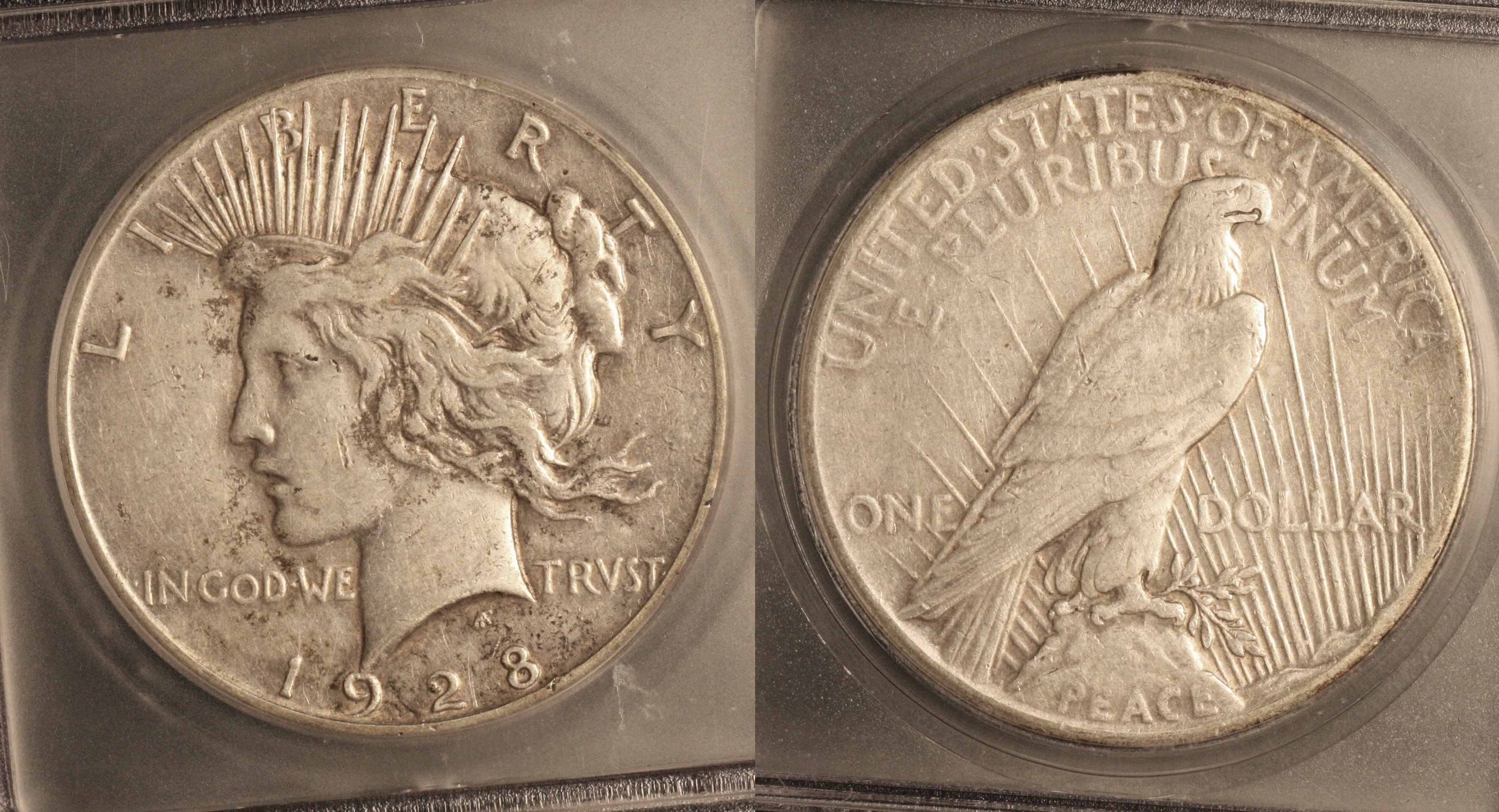 1928 Peace Silver Dollar ICG EF-40 camera