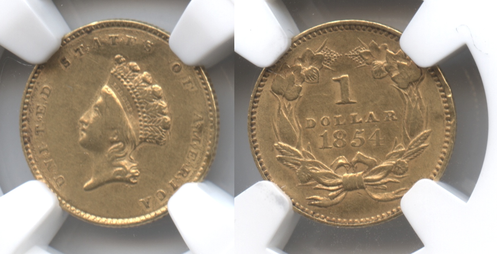 1854 Type II Gold Dollar NGC AU-50 Details