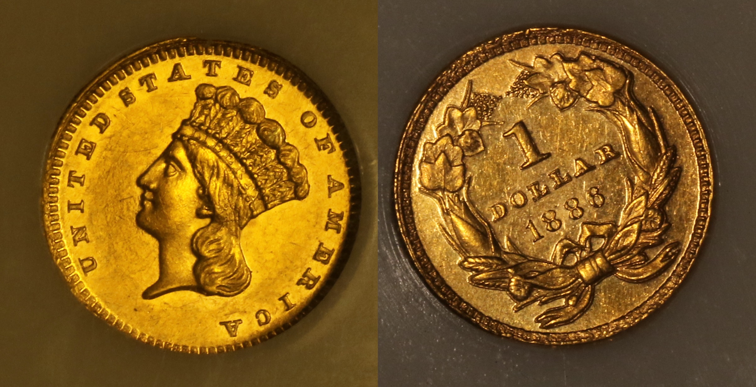 1886 Gold Dollar PCI Proof-60 camera