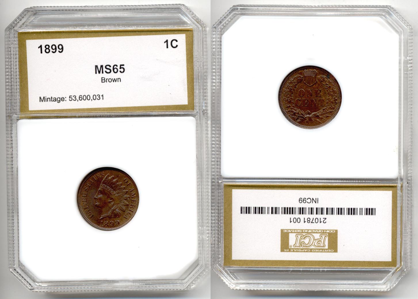 1899 Indian Head Cent PCI MS-65 Brown