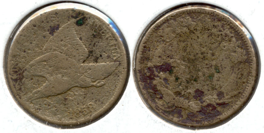 Alaska Coin Exchange Presents the 1858 Large Letters Flying Eagle Cent AG-3 c Porous