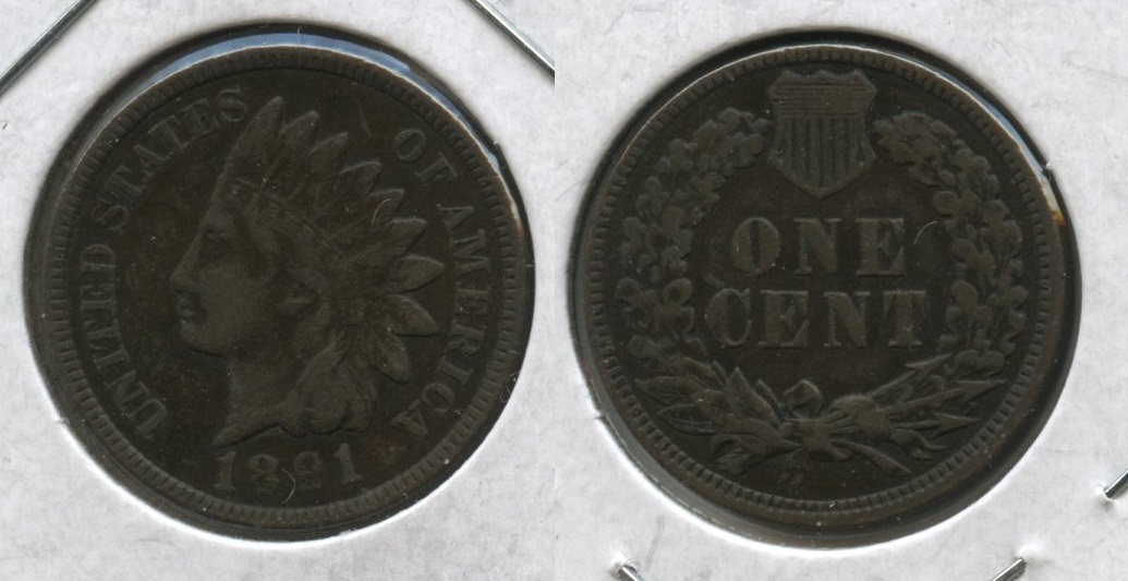 1891 Indian Head Cent Fine-12 #c Dark