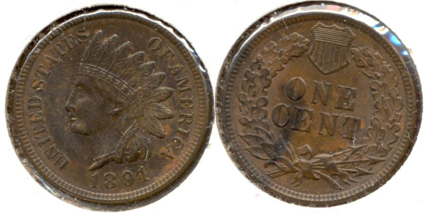 1891 Indian Head Cent MS-63 Brown