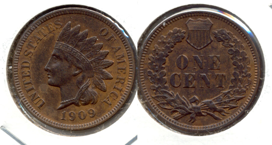1909 Indian Head Cent MS-60 Brown b