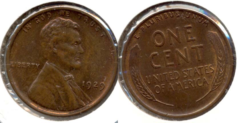 1929 Lincoln Cent MS-63 Brown b