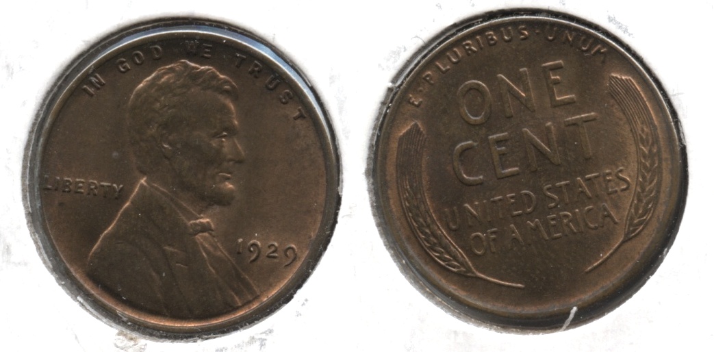 1929 Lincoln Cent MS-63 Brown #g