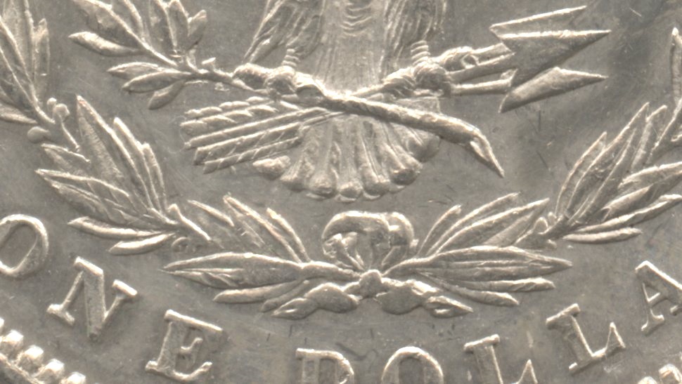 Close up of the tailfeathers area. AU-50 #e