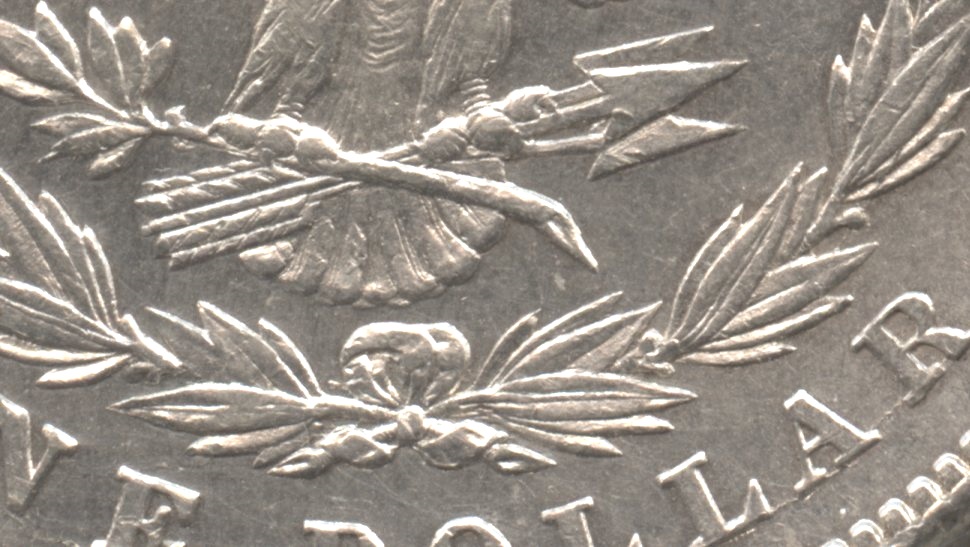 Close up of the tailfeathers area. AU-50 #g