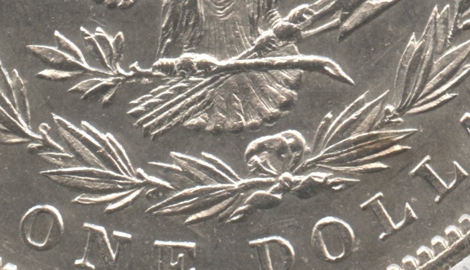 Close up of the tailfeathers area. AU-55 #a