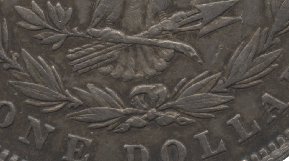 Close up of the tailfeathers area. EF-40 #b