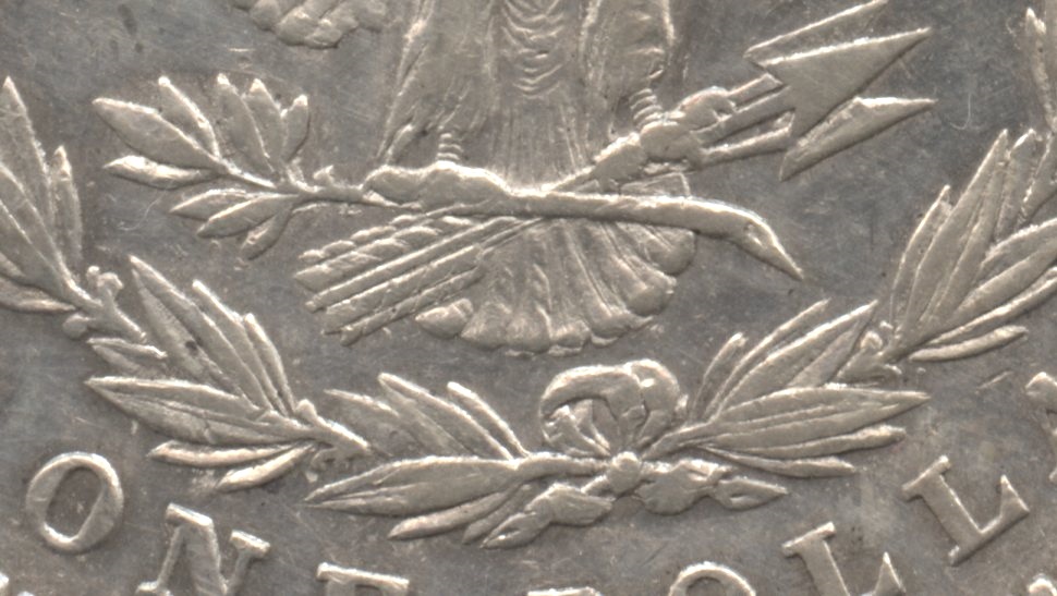 Close up of the tailfeathers area. EF-40 #d