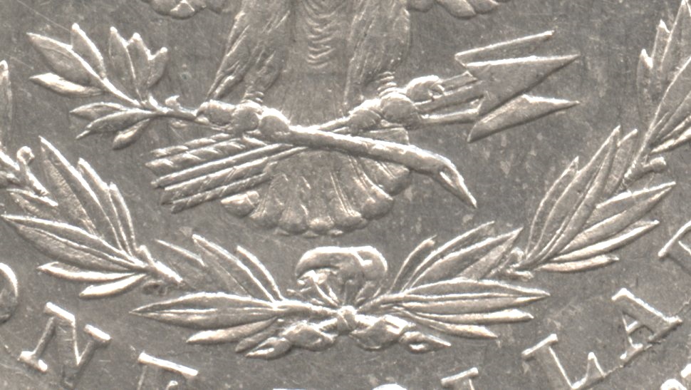 Close up of the tailfeathers area. EF-40 #f