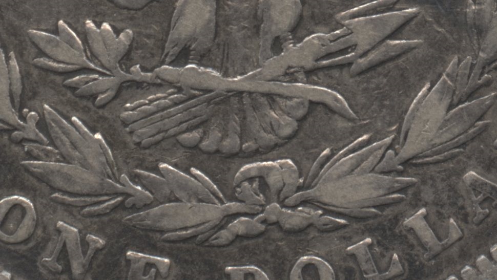 Close up of the tailfeathers area. Fine-12 #a