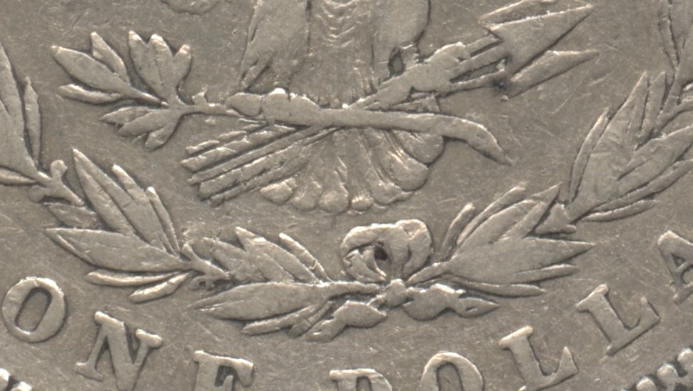 Close up of the tailfeathers area. Fine-12 #b