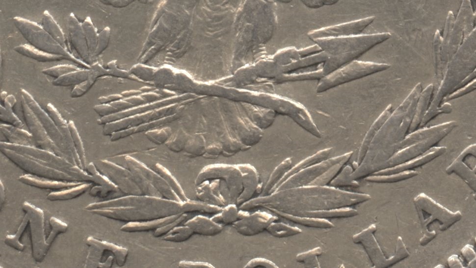 Close up of the tailfeathers area. Fine-12 #c