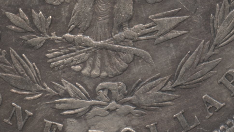 Close up of the tailfeathers area. MS-60 #a