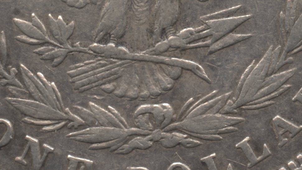 Close up of the tailfeathers area. VF-20 #c