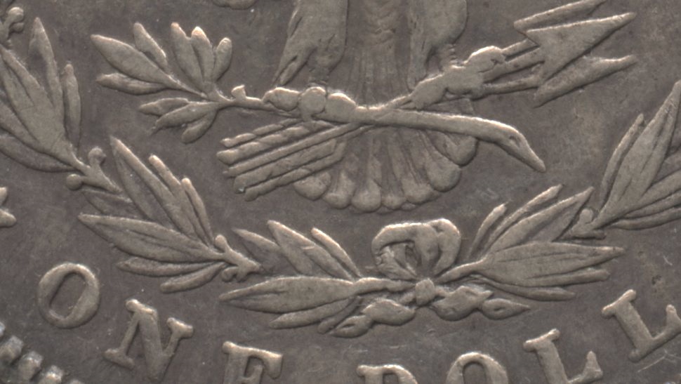 Close up of the tailfeathers area. VF-20