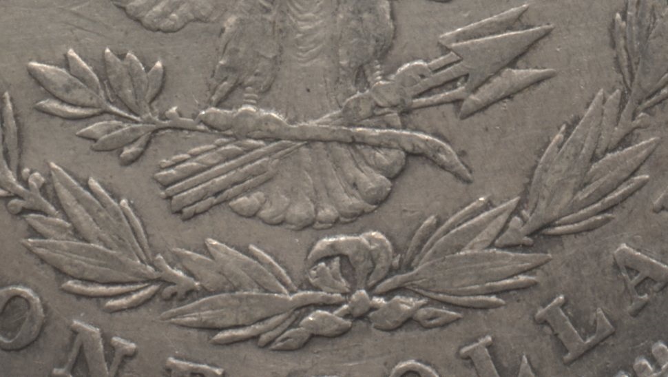 Close up of the tailfeathers area. VF-20 #d