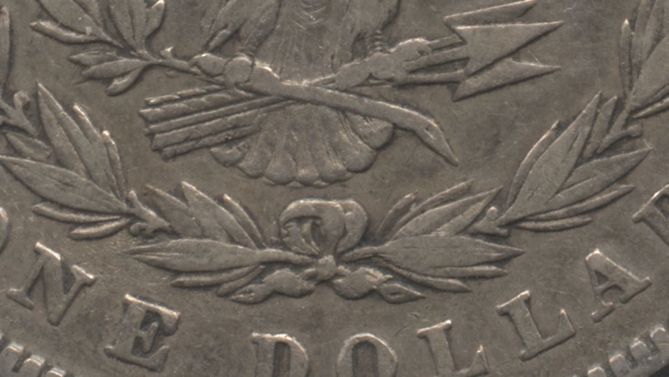 Close up of the tailfeathers area. VF-20 #e