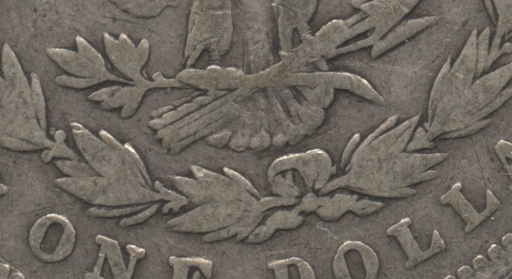 Close up of the tailfeathers area. VG-8