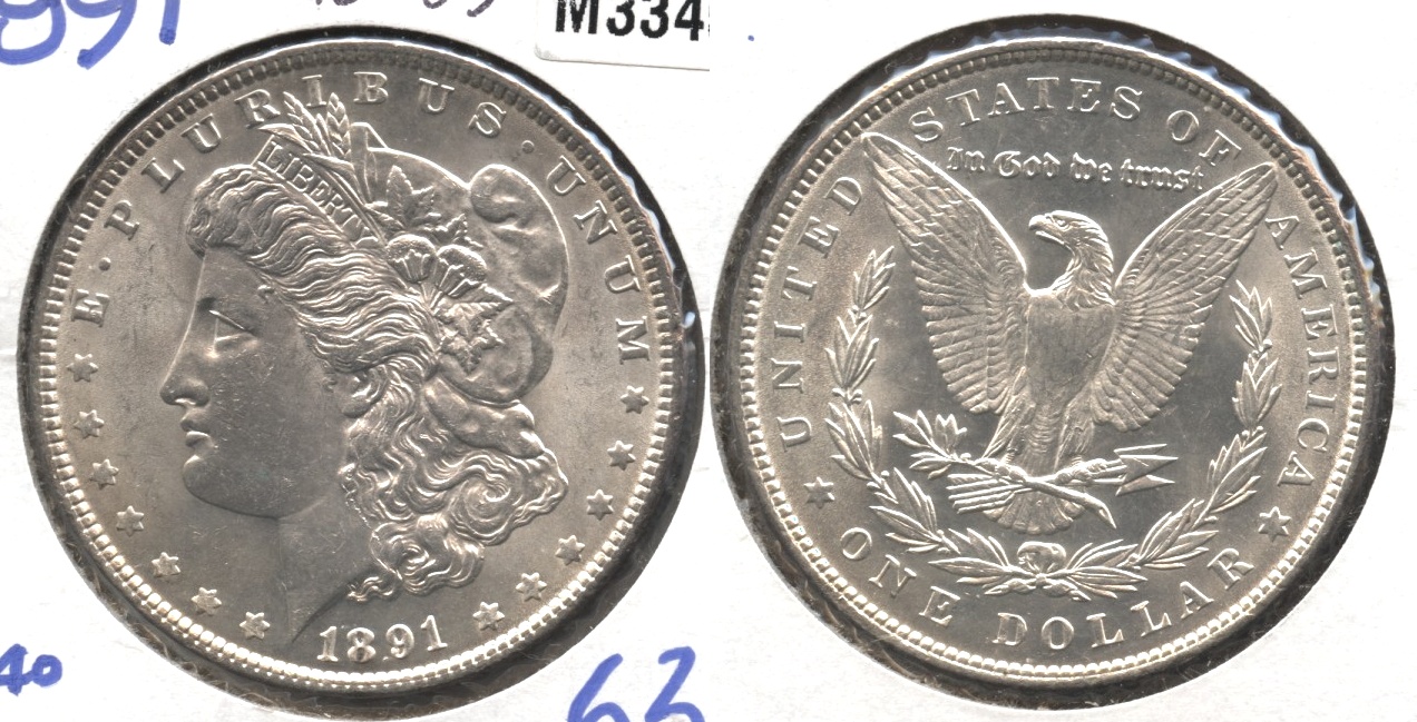 1891 Morgan Silver Dollar MS-63 #a