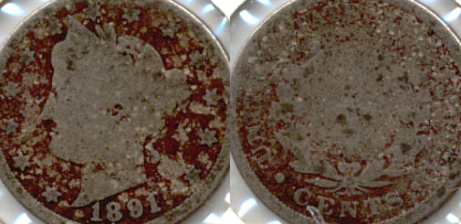 1891 Liberty Head Nickel AG-3 g Dark