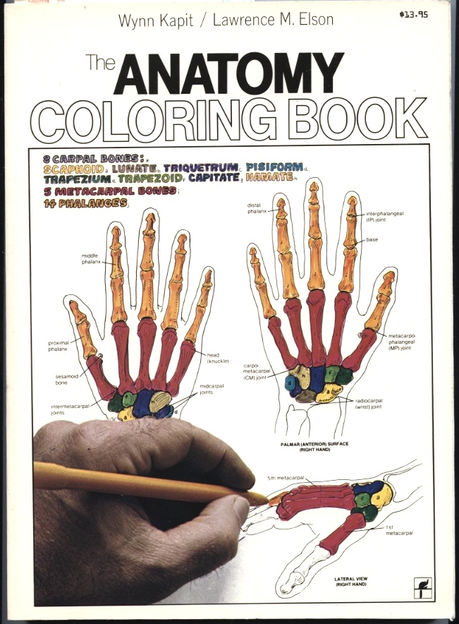 Anatomy Coloring Book by Wynn Kapit and Lawrence Elson Published 1977