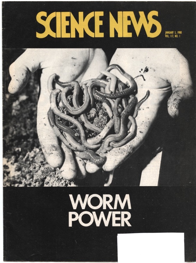 Science News January 5 1980 Cover Story Worm Power