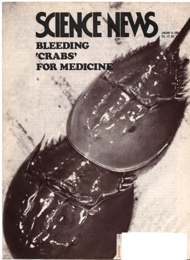 Science News January 19 1980 Bleeding Crabs For Medicine