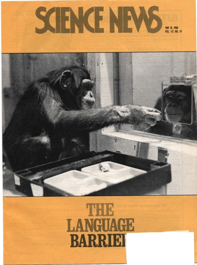Science News May 10 1980 Apes and Language