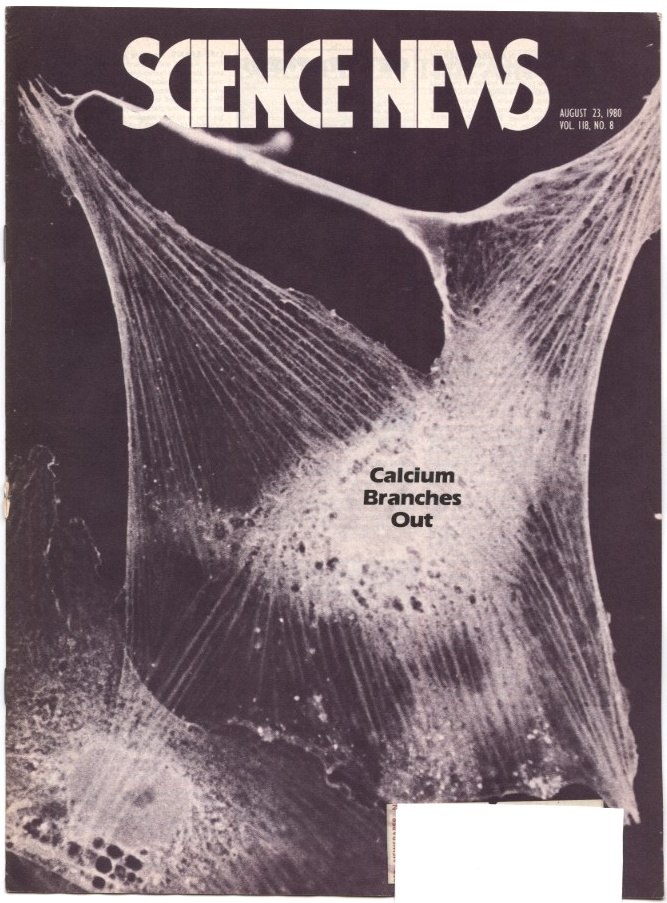 Science News August 23 1980 Calcium Branches Out