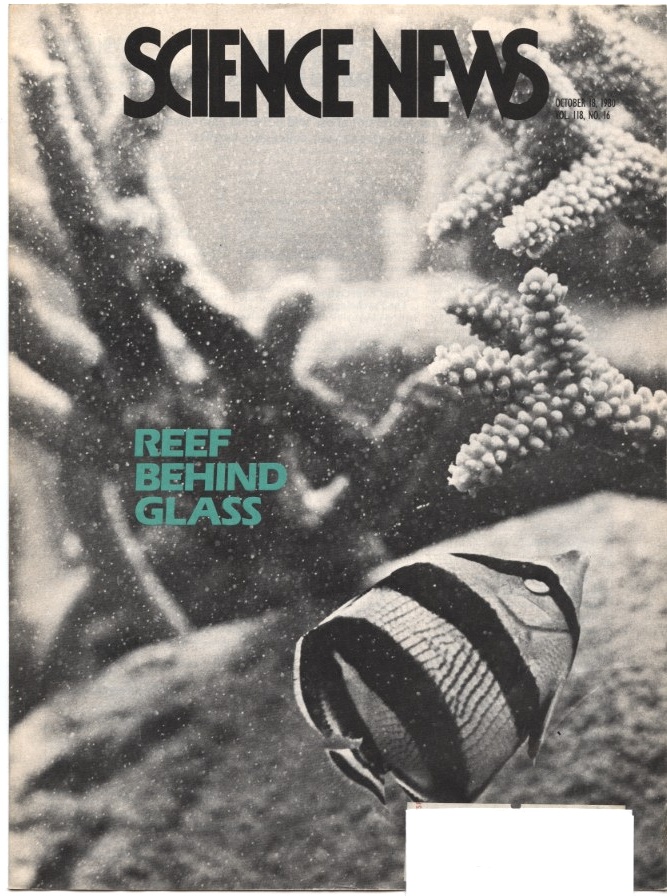 Science News October 18 1980 Reef Behind Glass