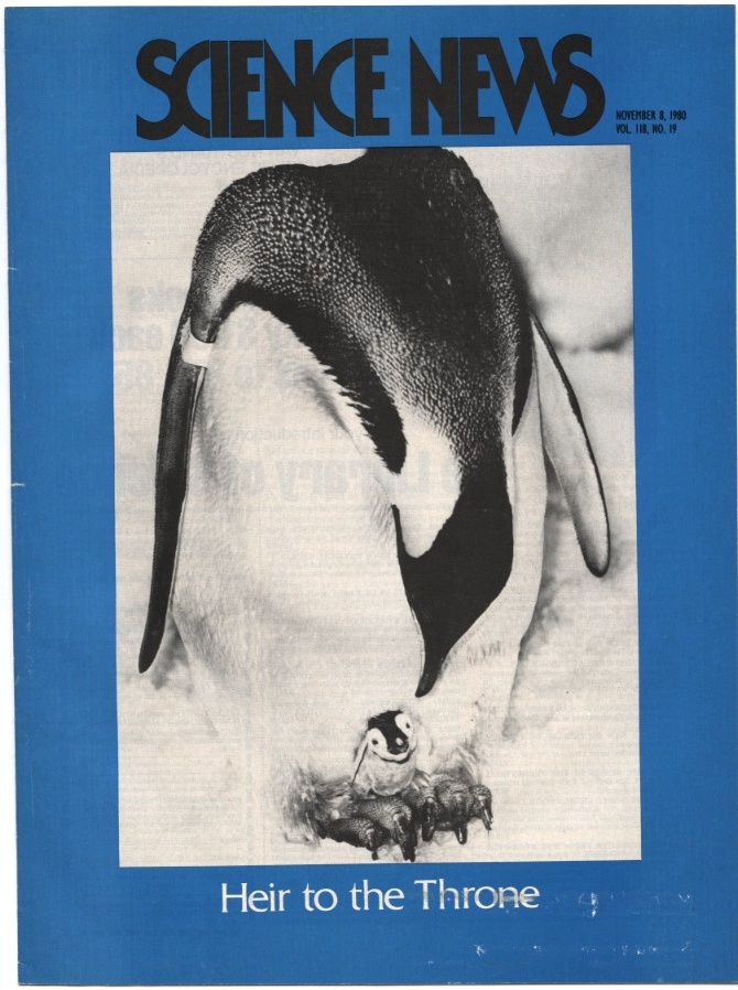 Science News November 8 1980 Emperor Penguins