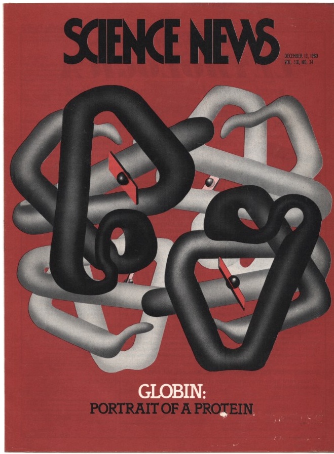Science News December 13 1980 The hemoglobin protein