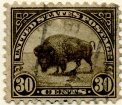 Scott 700 Buffalo 30 Cent Stamp Brown Blue Series of 1922-1925 rotary press a