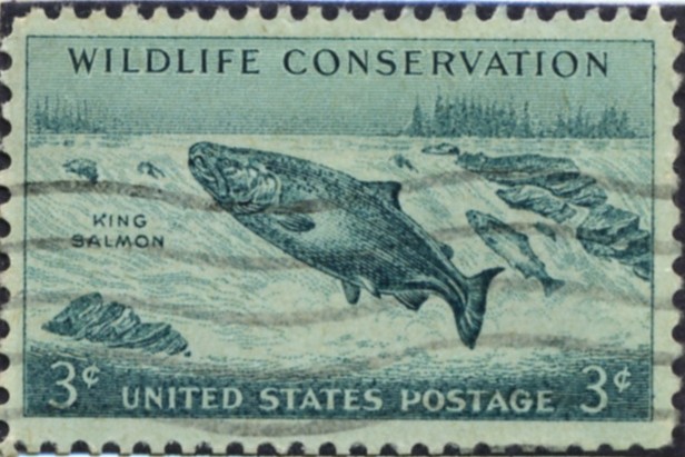 Scott 1079 3 Cent Stamp Wildlife Conservation King Salmon
