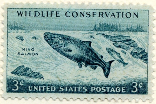 Scott 1079 3 Cent Stamp Wildlife Conservation King Salmon a