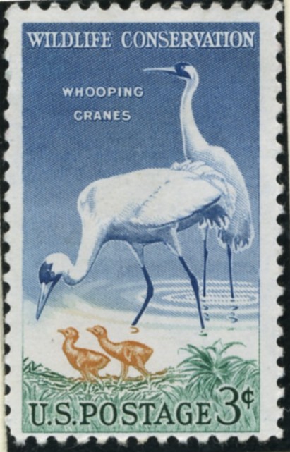 Scott 1098 3 Cent Stamp Wildlife Conservation Whooping Cranes