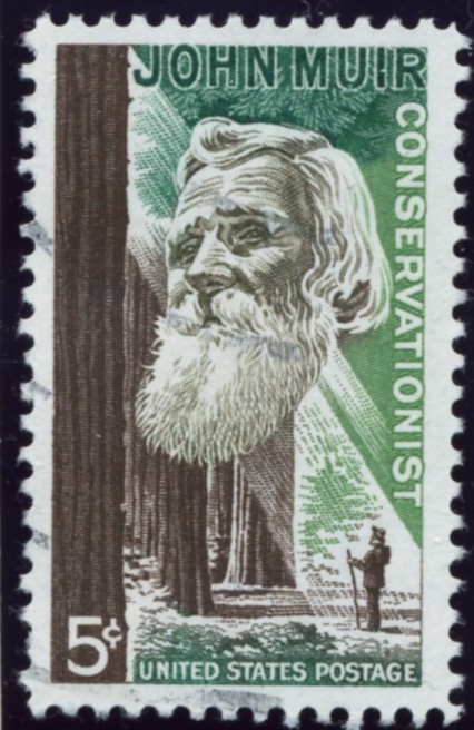 Scott 1245 5 Cent Stamp John Muir