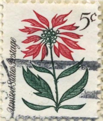 Scott 1256 5 Cent Stamp Poinsettia