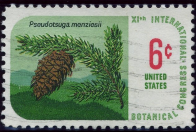 Scott 1376 6 Cent Stamp Pseudotsuga Menziesii