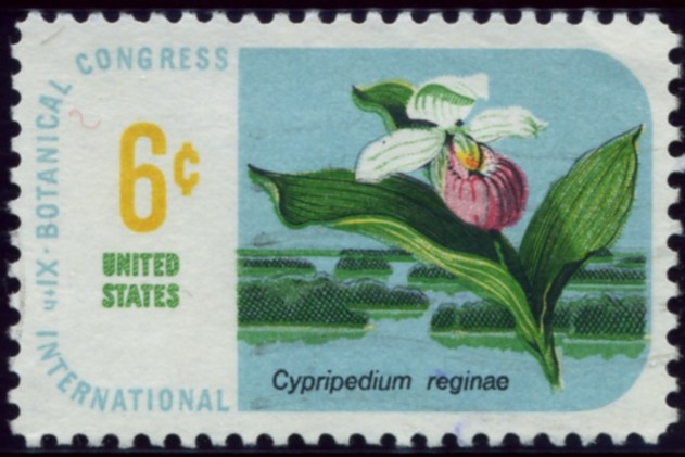 Scott 1377 6 Cent Stamp Cypridedium Reginae