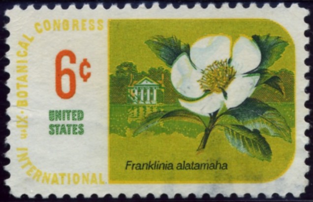 Scott 1379 6 Cent Stamp Franklinia Alatamaha