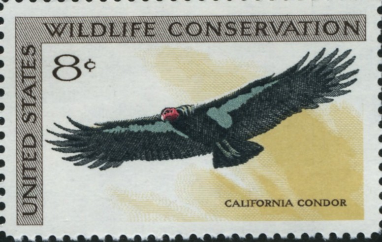 Scott 1430 8 Cent Stamp California Condor